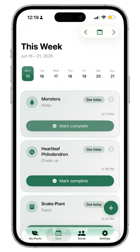 PlantMD weekly care schedule showing watering and check-up tasks for a Monstera, a heartleaf philodendron, and a snake plant