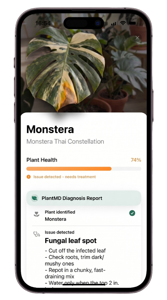 PlantMD diagnosis report for a Monstera showing plant health, the issue detected as fungal leaf spot, and treatment instructions